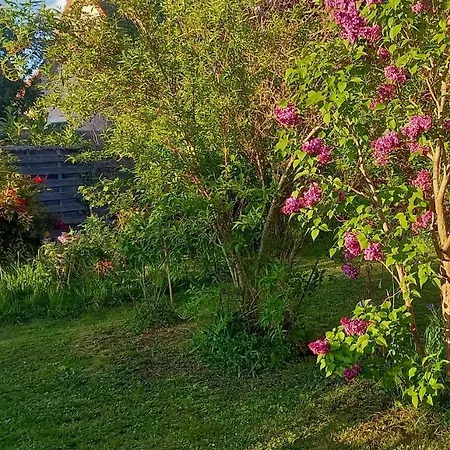 Holiday home La Petite Maison Saint-Remy-les-Chevreuse