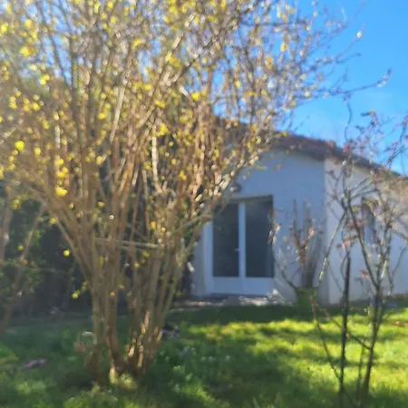 La Petite Maison *